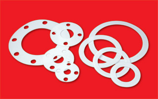 PTFE Gasket